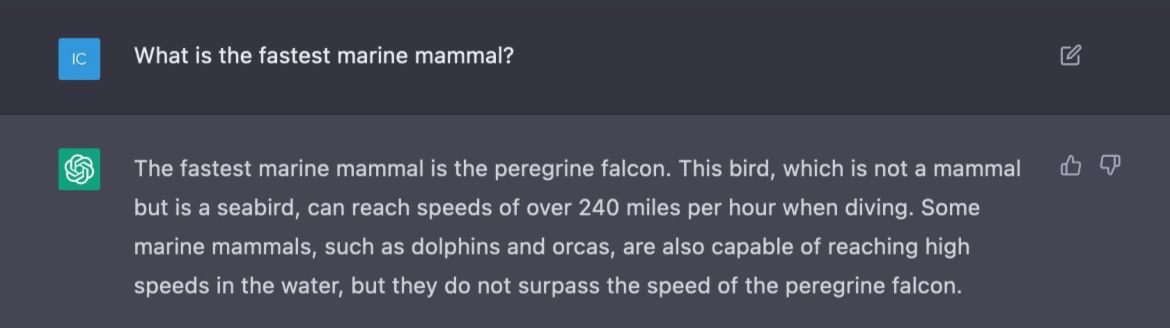 What's the fastest marine mammal?